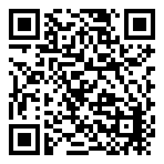 Steelrising GT  QR