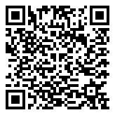 1999 Silver IND  QR