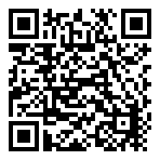 Steam Wallet INR 150  QR