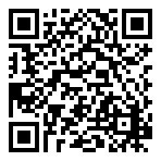 Hi-Fi Rush GT  QR