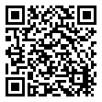 99 Silver IND  QR