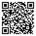 Domino's Pizza  QR