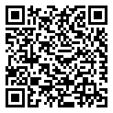 4999 Silver IND  QR