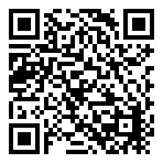 Domino's Pizza  QR