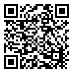 Bluestone Gemstone Studded  QR