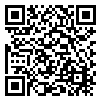 Hi-Fi Rush GT  QR