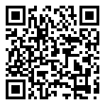 Steam Wallet INR 250  QR