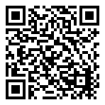 499 Silver IND  QR