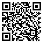 American Eagle  QR