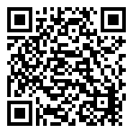 Steam Wallet INR 99  QR
