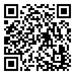 4999 Silver IND  QR