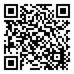 Ferns N Petals  QR