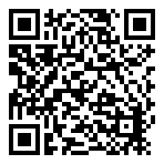 Steelrising GT  QR