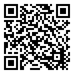 American Eagle  QR
